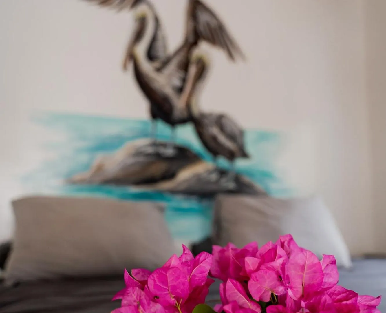 Dushi Vida Country Inn Barber Curacao